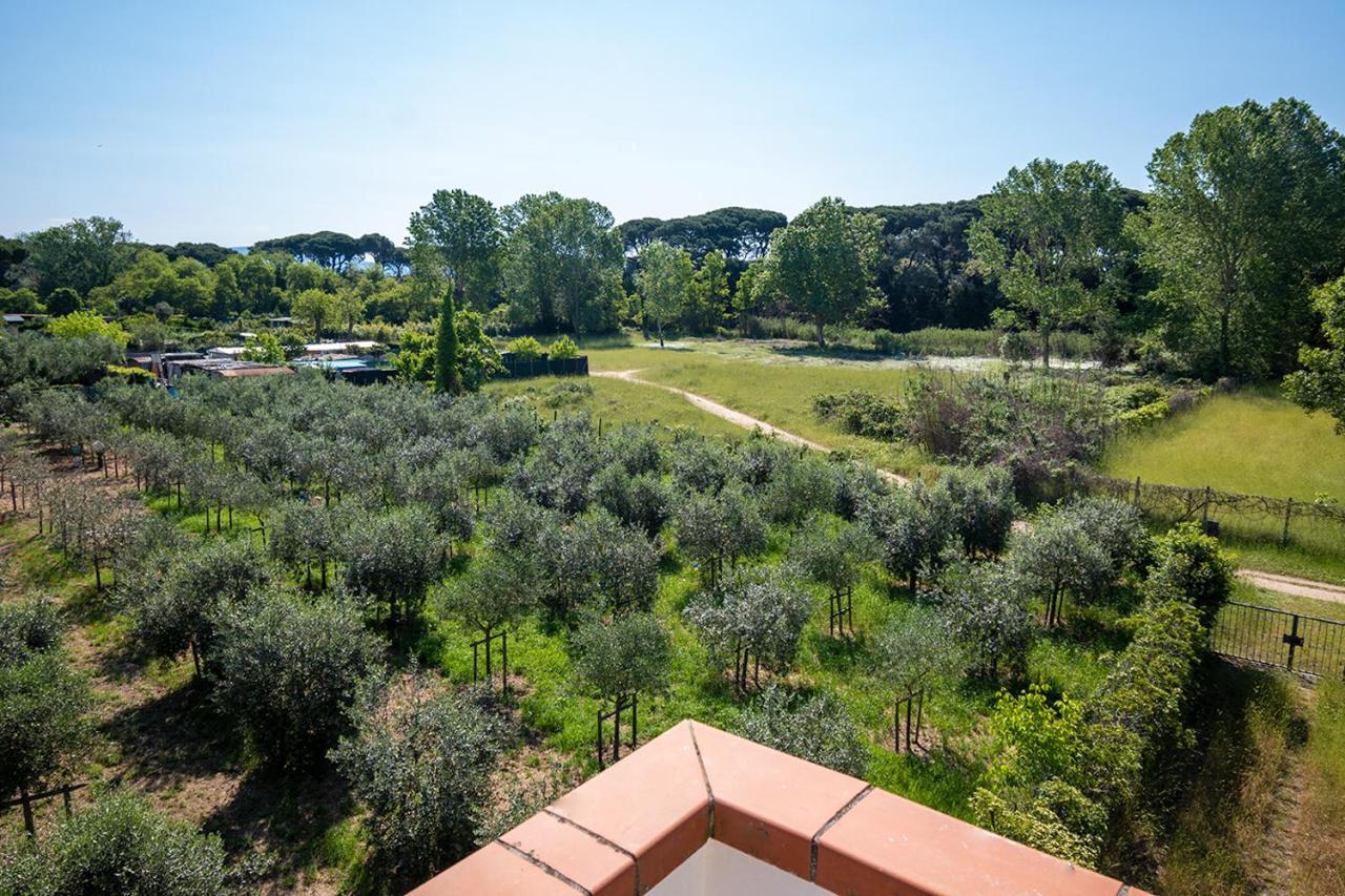 Attico Di Torsten Διαμέρισμα Torre del Lago Puccini Εξωτερικό φωτογραφία